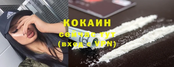 твердый Абаза