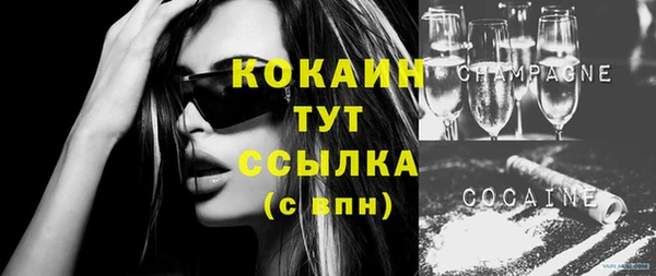 твердый Абаза