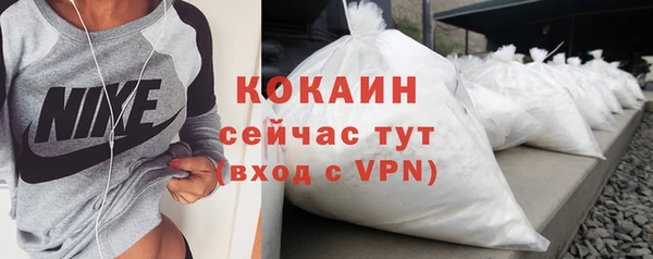 твердый Абаза