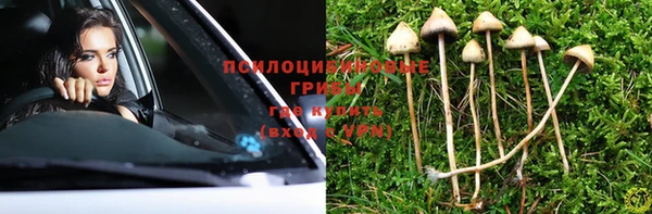 ГАЛЛЮЦИНОГЕННЫЕ ГРИБЫ Алексеевка